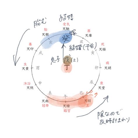 十 二 運|十二大従星・十二運のドラマチックな見方 – Essay in。